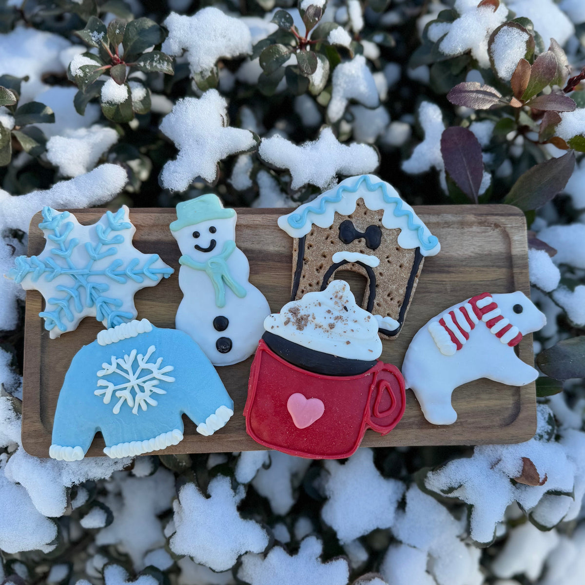 Wholesale - Winter Treats