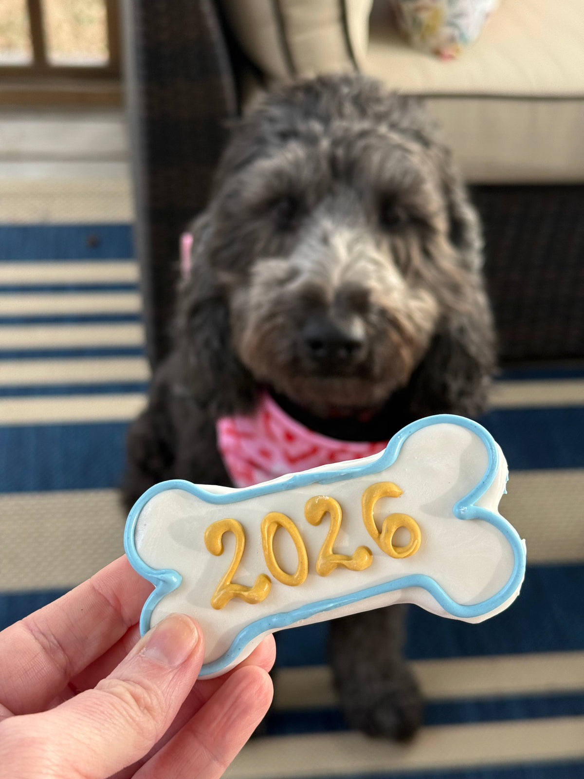 Wholesale - Happy New Years Treats