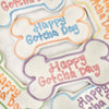 Happy Gotcha Day Bone